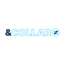 And Collar - High-Performance Shirts Made Of Athletic Material