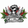 Attitude Seeds - Deliver High-yielding Auto Male And Female Buds