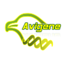 Avigene - Various Testing Methods To Identify Gender Avigene - Various Testing Methods To Identify Gender