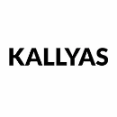 KALLYAS - Premium Plugin Features With Multiple Layouts KALLYAS - Premium Plugin Features With Multiple Layouts