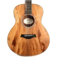 Taylor GS Mini Solid case - High-Quality Design With A Bracing Pattern