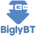 BiglyBT - Advanced VPN Detection For Anonymously Browsings