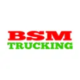 BSM Trucking - A 24/7 Dumping Service With User-Friendly Interface