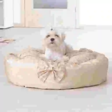 Pets
