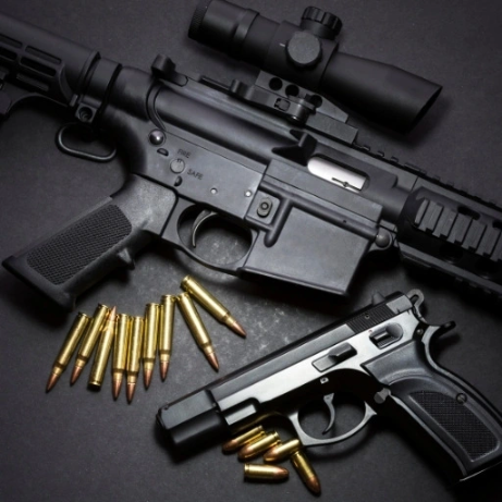Guns And Accessories