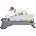 DogTread - Attractive And Dog-Friendly Design