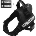 Fairwin - Breathable Padded Mesh Linear for Front And Back Support