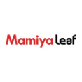 Mamiya - Increase Your Performance With Hi-Tech Digital Cameras