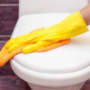 Toilet Seat Sanitizers
