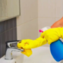 Bathroom Cleaners