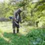 Battery Powered Weed Eaters