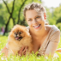 CBD Oils For Pets