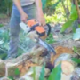 Electric Chainsaw
