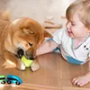 Flooring Options for Pets and Kids