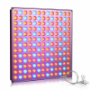 Full Spectrum Led Grow Lights