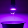 Led Grow Lights