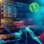 Torrent Software