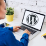 WordPress Blog Themes