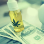 Cbd Affiliate Networks