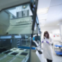 Cheap DNA Kits