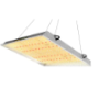 Commercial LED Grow Lights