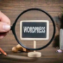 Domain Registrars For Wordpress