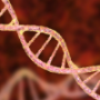 Genealogy Test Kits