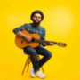 Guitar Brands