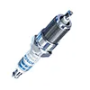 Iridium Spark Plugs