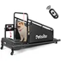 Mini Treadmills for Dogs
