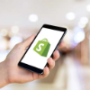 Mobile Shopify Themes