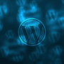 WordPress Themes