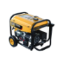 Outdoor Gas Generators
