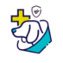 Pet Insurance Companies for Older Dogs