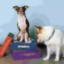 Pet Subscription Box