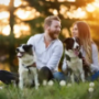 Online Stores To Buy Pet Supplies
