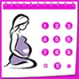 Pregnancy Calculator Apps