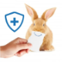 Rabbit Insurance Companies