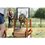 Sports Dog Treadmills