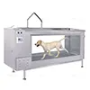 Underwater Treadmills for Dogs