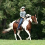 Website To Buy Horse Riding Gear