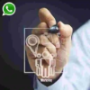 Whatsapp Marketing Tools