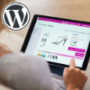 Woocommerce WordPress Themes