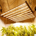 Phlizon - LED Grow Lights With Heat Control Technology