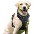 Rabbitgoo - Soft Cushions Maximize To Protect Your Dog Skin