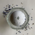 Extract Labs - Specialized Oliver Flower Essence For Rejuvenation