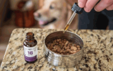 Why is Receptra Naturals the Best for Stress Relieving with CBD Solutions?