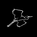 Audubon Society Family Programs – Best for Birdwatching and Nature Education