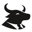 Simply Wall St - Best for Visual Fundamental Analysis