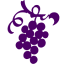 The Wine School of Philadelphia - Best for Localized Virtual Education